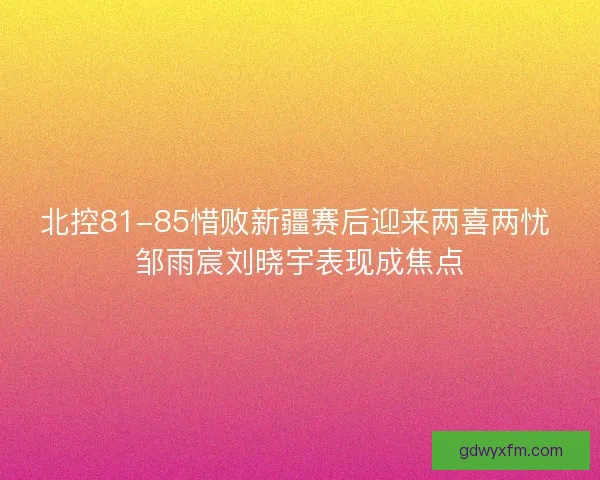 北控81-85惜败新疆赛后迎来两喜两忧 邹雨宸刘晓宇表现成焦点