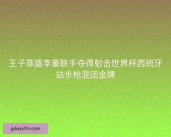 王子菲盛李豪联手夺得射击世界杯西班牙站步枪混团金牌