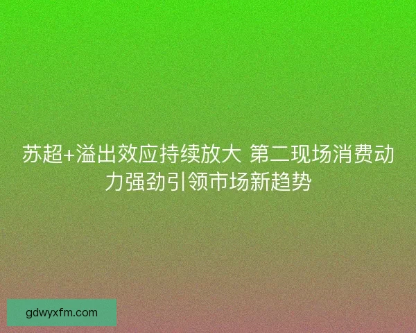 苏超+溢出效应持续放大 第二现场消费动力强劲引领市场新趋势