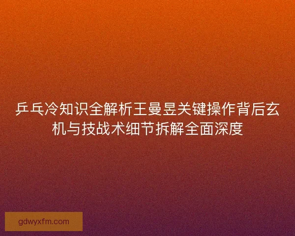 乒乓冷知识全解析王曼昱关键操作背后玄机与技战术细节拆解全面深度